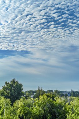 Doğanın güzel manzara. Güzel ve ilginç manzara, arka plan ve mavi gökyüzü bulutlu yaz öğleden sonra ormanda görünümünü.