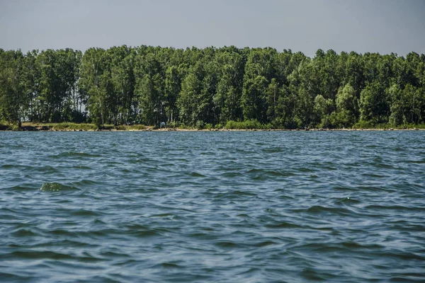 Güzel ve ilginç manzara ve yaz nehir veya göl ile yeşil çalılar ve mavi gökyüzü ile çim.