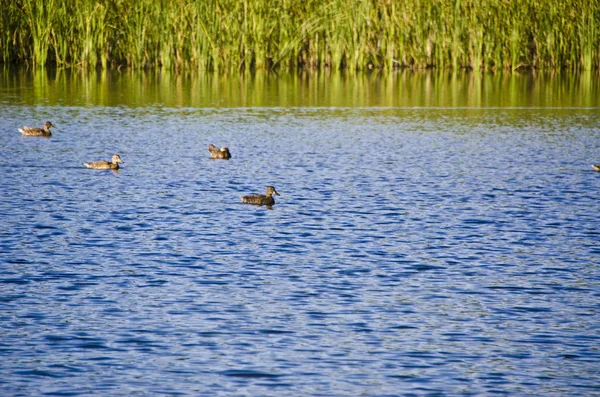 Wasser Thema Und Hintergrund Schöne Und Interessante Landschaft Und Blick — Stockfoto