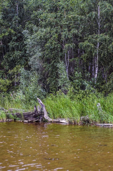 Beautiful Interesting Landscape Views Summer River Lake Green Shrubs Grass — Stock Photo, Image