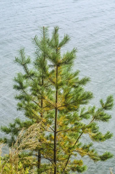 Vatten Tema Och Bakgrund Vackra Och Intressanta Landskap Och Utsikt — Stockfoto