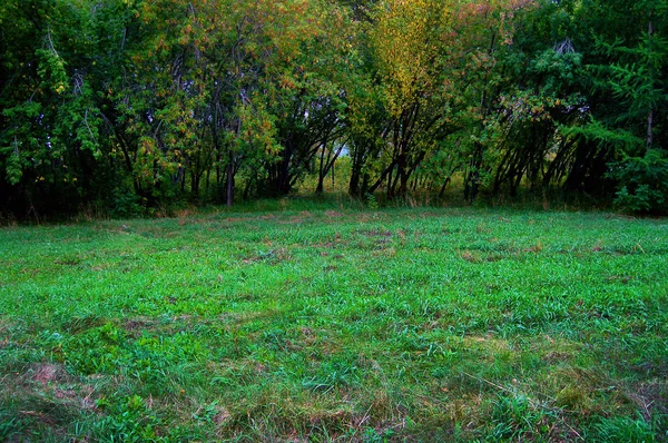 Schöne Aussicht Auf Die Natur Schöner Und Interessanter Hintergrund Und — Stockfoto