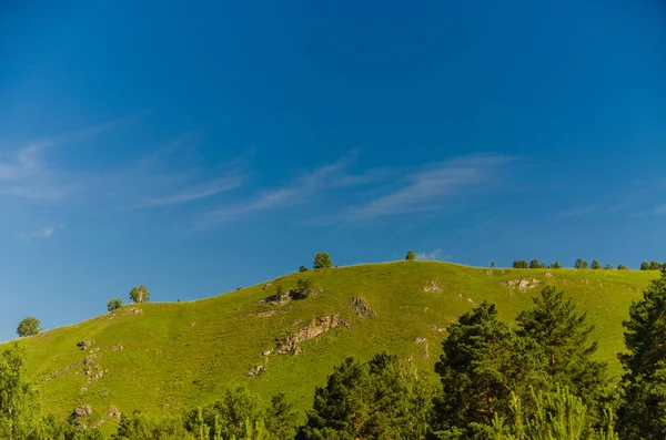 Doğanın güzel manzara. Güzel ve ilginç manzara, panorama, arka plan ve dağ kutup yaz öğleden sonra hücresel iletişim görüntülemek.