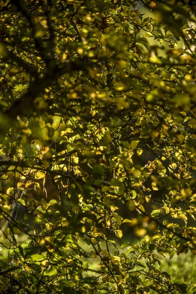 Krásný Pohled Přírody Krásný Pohled Přírody Krásná Zajímavá Krajina Pozadí — Stock fotografie