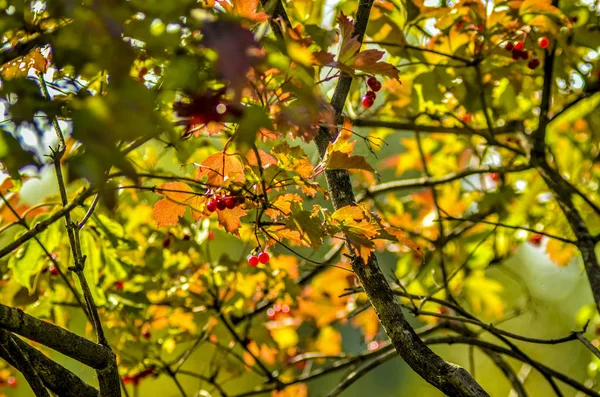 Schöne Aussicht Auf Die Natur Schöne Und Interessante Landschaft Hintergrund — Stockfoto