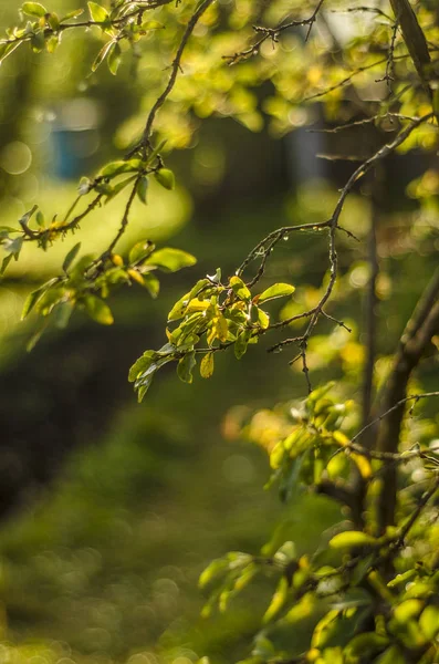 Vacker Utsikt Över Naturen Vackra Och Intressanta Landskap Bakgrund Och — Stockfoto