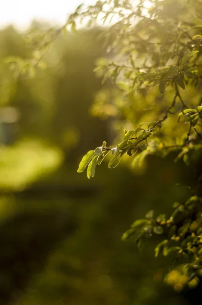 Prachtig Uitzicht Van Natuur Mooi Interessant Landschap Achtergrond Weergave Van — Stockfoto