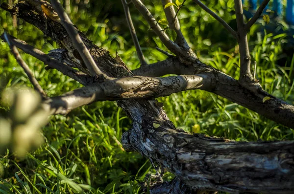 Prachtig Uitzicht Van Natuur Mooi Interessant Landschap Achtergrond Weergave Van — Stockfoto