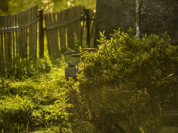 Bella Vista Sulla Natura Bella Vista Sulla Natura Paesaggio Bello — Foto Stock