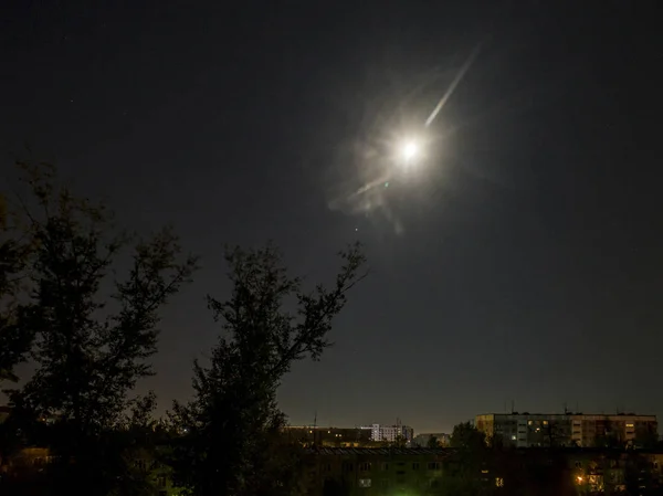 Luna Por Noche Árboles Luna Redonda Amarilla Sobre Fondo Negro —  Fotos de Stock