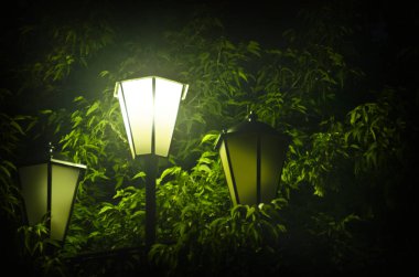 Glowing lantern and foliage. Glowing lantern in the park at night on the background of green foliage of a tree. clipart
