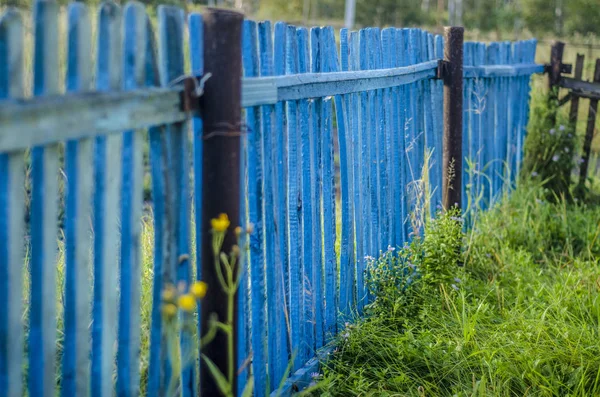 Blue wooden fence. Wooden old fence painted with blue paint in perspective.