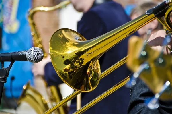 Beautiful Diverse Subject Brilliant Brass Musical Wind Tube Festival — Stock Photo, Image