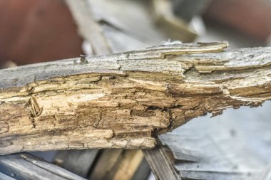 Güzel ve farklı bir konu. Güzel ve özgün antika panoları ve ahşap ürünleri ve öğleden sonra doğa döşeme.