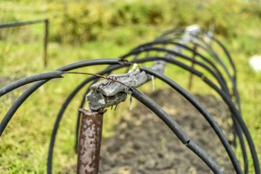 Güzel ve farklı bir konu. Güzel ve özgün eski ev yapımı sera ve yay üzerinde yaz öğleden sonra bahçede.