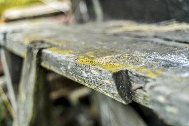 Güzel ve farklı bir konu. Eski ve antik panoları doğanın güzel ve özgün tasarım.