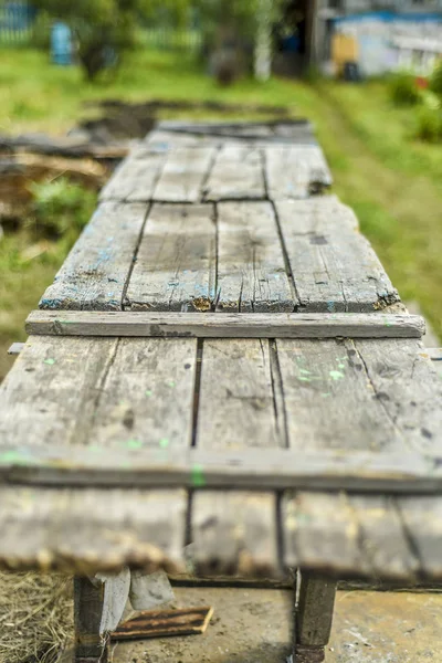 Hermoso Diverso Tema Hermoso Original Diseño Tablas Antiguas Antiguas Naturaleza — Foto de Stock