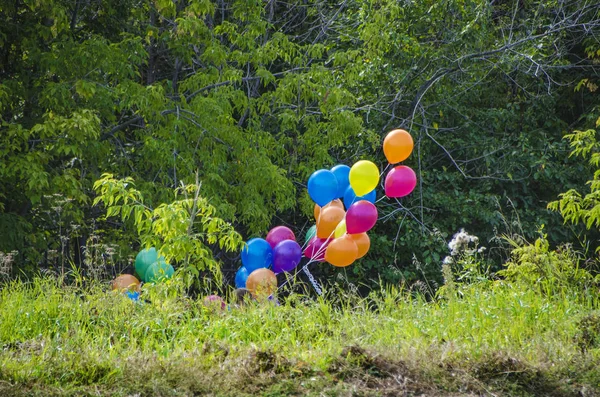 Beautiful Diverse Subject Beautiful Colorful Multicolored Festive Balloons Large Quantities — Stock Photo, Image