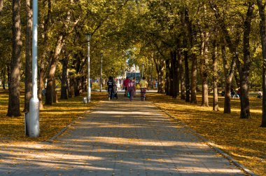 Novosibirsk, Rusya - 29 Eylül 2016: Harika bir manzara ve arka plan, manzara ve Şehir Parkı ve bir sokak ve yol yazın güneşli havalarda büyük ağaçları ile Bahçe Panoraması.