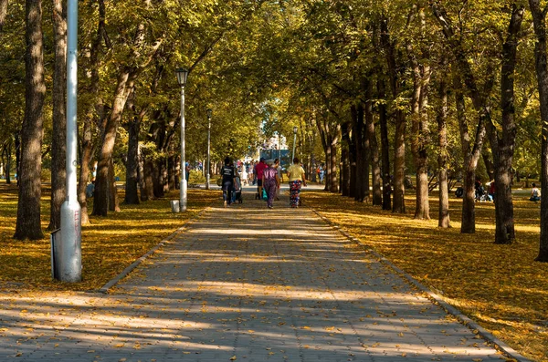 Novosibirsk Russland September 2016 Schöne Aussicht Und Hintergrund Landschaft Und — Stockfoto