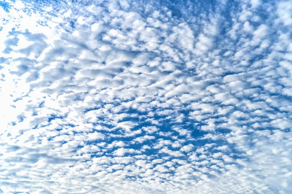 Beau Ciel Avec Des Nuages Belle Journée Ciel Bleu Vif — Photo