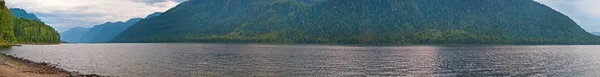 파노라마입니다 장엄한 풍경과 생물과 여름에 호수의 파노라마 — 스톡 사진