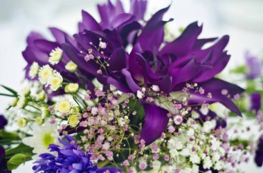 Güzel arka plan ve dekor.