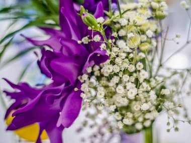 Güzel arka plan ve dekor.