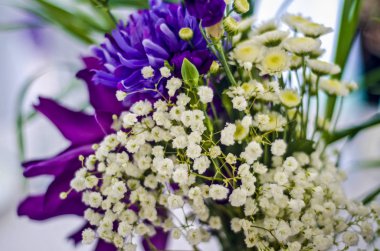 Güzel arka plan ve dekor.