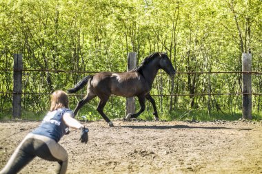 Bu güzel bir at olduğunu.
