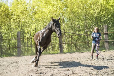 Bu güzel bir at olduğunu.