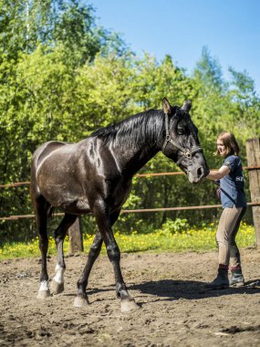 Bu güzel bir at olduğunu.