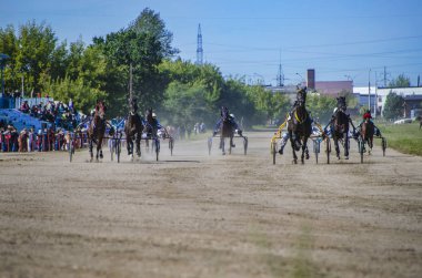 Bunlar güzel hayvanlar..