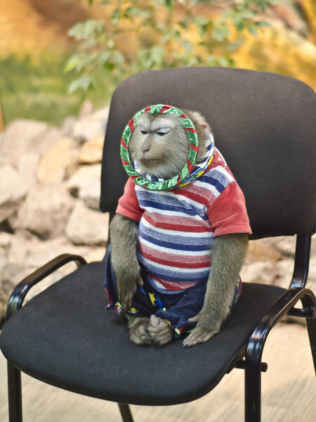 These are beautiful animals.