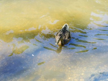 Doğanın güzel manzarası.