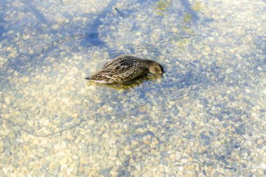 Doğanın güzel manzarası.