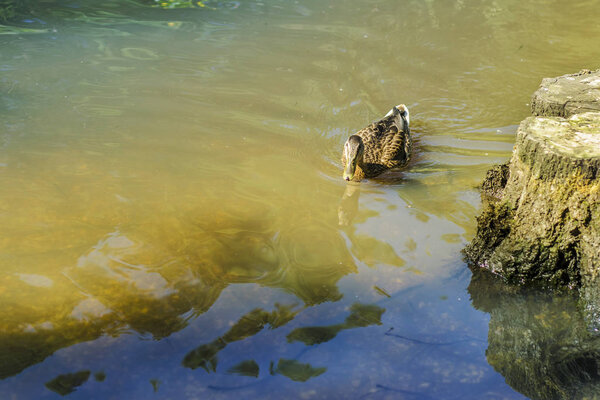 Beautiful view of nature.