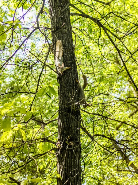 Krásný výhled na přírodu. — Stock fotografie