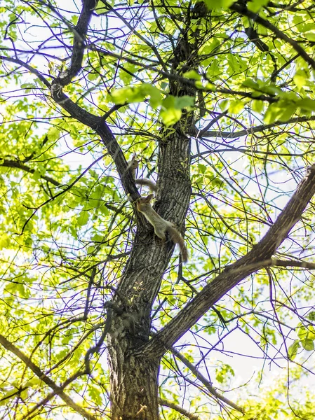 Krásný výhled na přírodu. — Stock fotografie