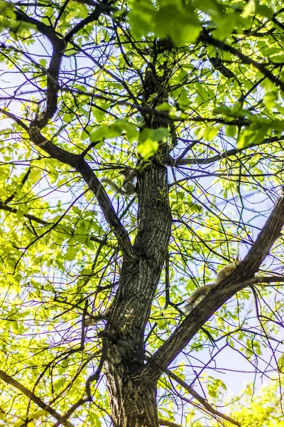 Krásný výhled na přírodu. — Stock fotografie