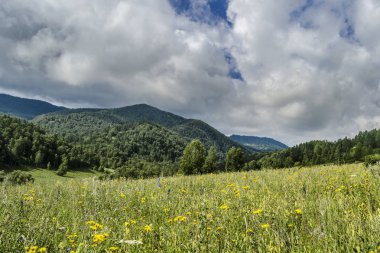 Doğanın güzel manzarası.