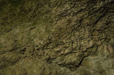 Doğanın güzel manzarası.