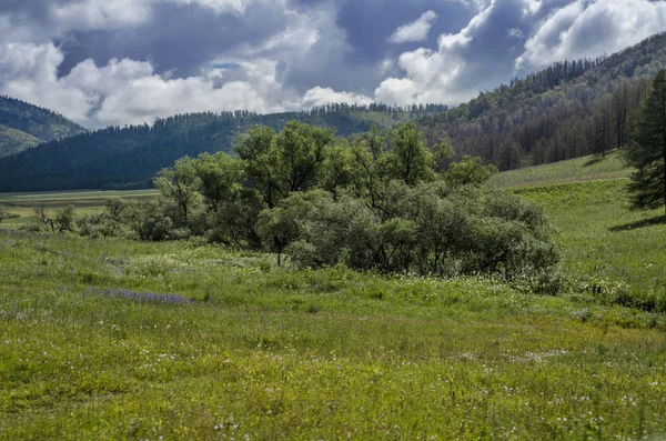 Vacker utsikt över naturen. — Stockfoto