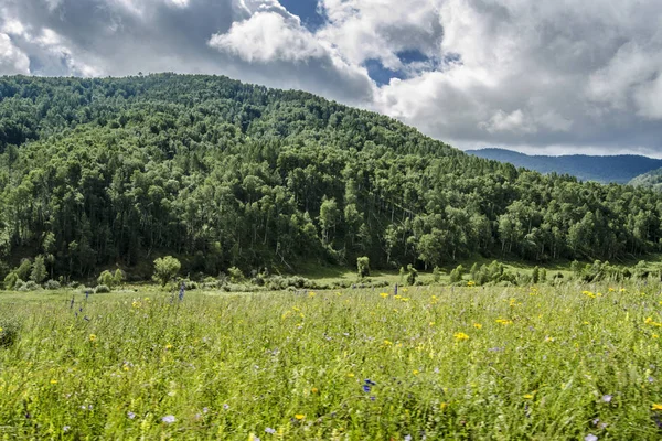 Beautiful view of nature. — Stock Photo, Image