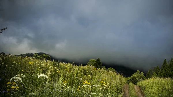 Schöne Aussicht auf die Natur. — Stockfoto