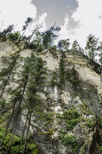 Bella vista della natura. — Foto Stock