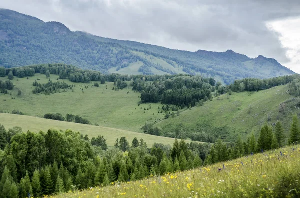 Beautiful view of nature. — Stock Photo, Image