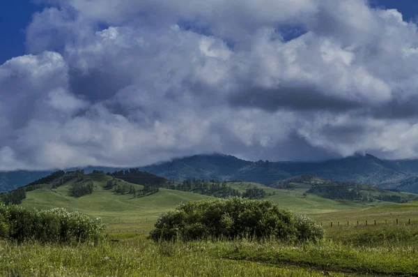 Bela vista da natureza. — Fotografia de Stock