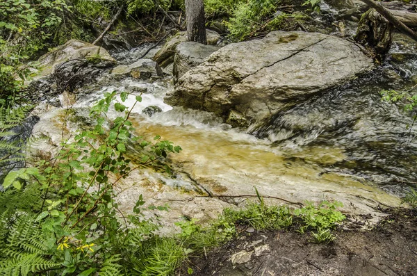 Schöne Aussicht auf die Natur. — Stockfoto