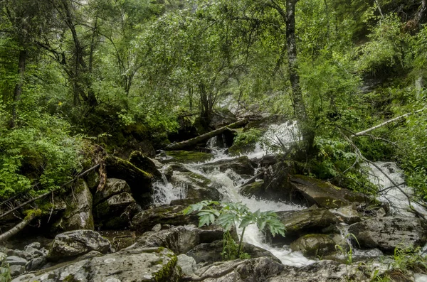 Krásný výhled na přírodu. — Stock fotografie